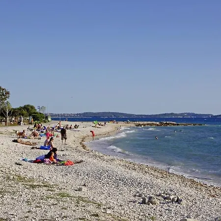 Salvela In Salvela